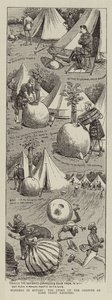 Merveilles en botanique, l
